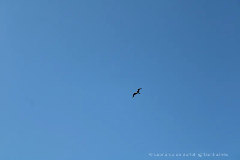20240727133108_IMG_2569 (1)